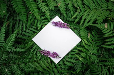 Yaratıcı düzen rhombus kağıt çerçeve yeşil çiçek arka plan, kopya alanı üzerinde. Boş bir reklam kartı veya davet için. Kavram doğası. Yaz poster. Düz yatıyordu. Doğa arka plan