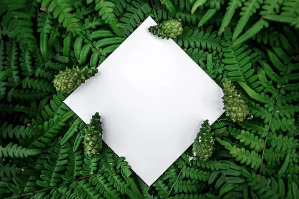 Kreatív Elrendezés Rombusz Papír Keret Egy Zöld Virágos Háttér Másol — Stock Fotó
