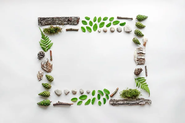 Square frame, Creative layout, natural layout of leaves, stones and wood. Empty for an advertising card or invitation. The concept of nature. Summer poster. Flat lay. Nature background