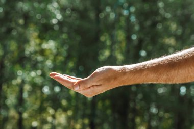 Togliatti, Samara bölgesi, Rusya Federasyonu - 02 Ağustos 2018: kadın palms yaz yeşil arka planı