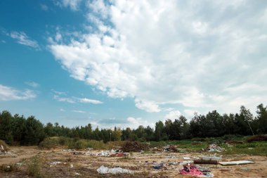 Doğada, ormandaki berbatım. Bir büyük çöp yığını, bozulmuş çöp. Birkaç zehirli artıkları. Doğa, plastik birikimi, bir felaket kirliliği kavramı.