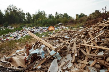 Doğada, ormandaki berbatım. Bir büyük çöp yığını, bozulmuş çöp. Birkaç zehirli artıkları. Doğa, plastik birikimi, bir felaket kirliliği kavramı.