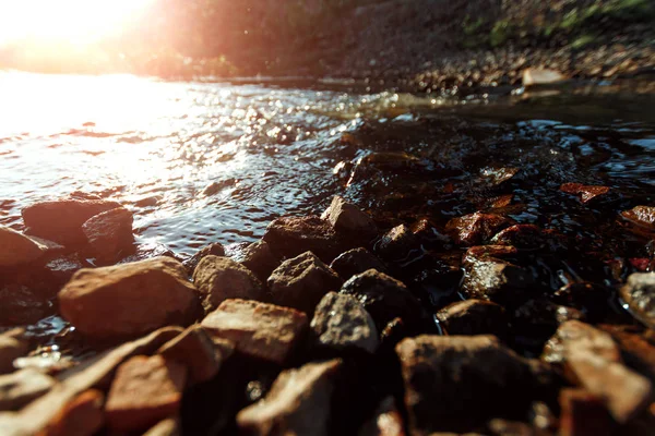 Mountain Creek Kamieni Pobliżu Zielonej Trawie Słoneczny Dzień Strumienia Czystej — Zdjęcie stockowe