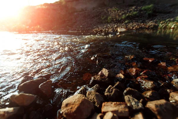 Arroyo Montaña Con Piedras Cerca Hierba Verde Día Soleado Corriente —  Fotos de Stock