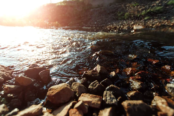 Mountain Creek Kamieni Pobliżu Zielonej Trawie Słoneczny Dzień Strumienia Czystej — Zdjęcie stockowe