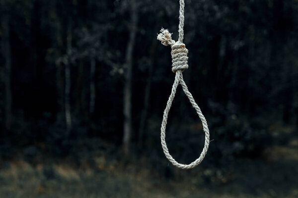 Hangman's loop on the background of the forest. Creative background, the concept of despair, a dead end, a desperate situation.
