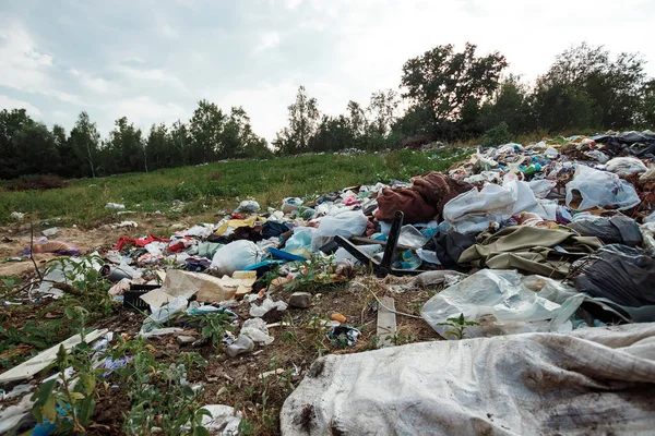 Rubbish in nature, in the forest. A large rubbish heap, degraded rubbish. A bunch of toxic residues. The concept of pollution of nature, the accumulation of plastic, a catastrophe.
