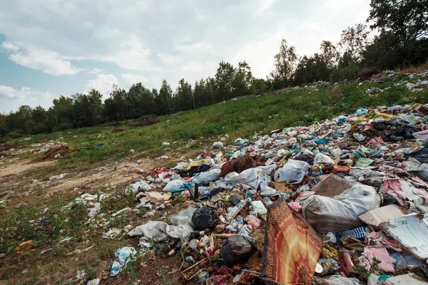 Doğada, ormandaki berbatım. Bir büyük çöp yığını, bozulmuş çöp. Birkaç zehirli artıkları. Doğa, plastik birikimi, bir felaket kirliliği kavramı.