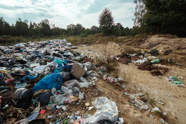 Rubbish in nature, in the forest. A large rubbish heap, degraded rubbish. A bunch of toxic residues. The concept of pollution of nature, the accumulation of plastic, a catastrophe.