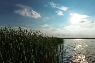 Göle, gökyüzüne yansıyan batan güneşin ışınları tarafından aydınlatılmış. kıyıda bir yüksek yeşil çimler uzuyor. Yaratıcı arka plan