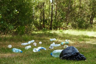 Yeşil çim, doğal ortamda bir sorun üzerinde plastik yığını doğa kirliliği plastik çürüyen değil. Doğanın korunması.