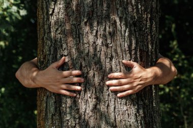 İnsan eli sarılmak, ağaca sarın. İnsan ve doğa, ekoloji kavramı başvurun. Verimlilik. Symbiosis