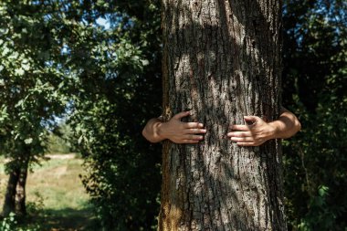 İnsan eli sarılmak, ağaca sarın. İnsan ve doğa, ekoloji kavramı başvurun. Verimlilik. Symbiosis