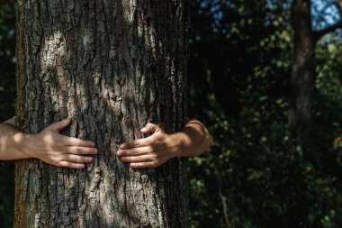 İnsan eli sarılmak, ağaca sarın. İnsan ve doğa, ekoloji kavramı başvurun. Verimlilik. Symbiosis