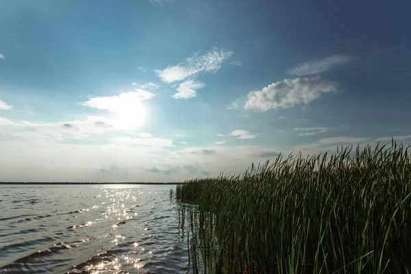 在湖中 天空被反射 由夕阳的光线照亮 高高的青草在岸边生长 创意背景 — 图库照片