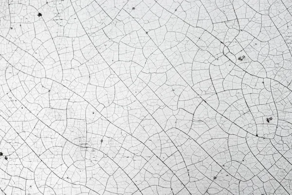 Crack texture of white leather, abstract background.