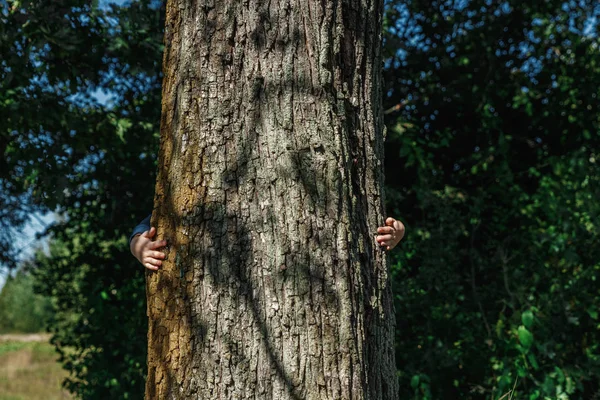 Human hands hug, wrap a tree. Contact man and nature, the concept of ecology. Productivity. Symbiosis