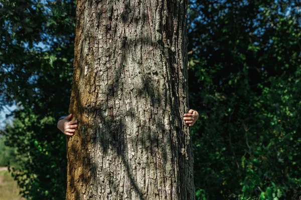 Human hands hug, wrap a tree. Contact man and nature, the concept of ecology. Productivity. Symbiosis