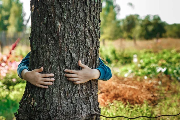 Nsan Eli Sarılmak Ağaca Sarın Nsan Doğa Ekoloji Kavramı Başvurun — Stok fotoğraf