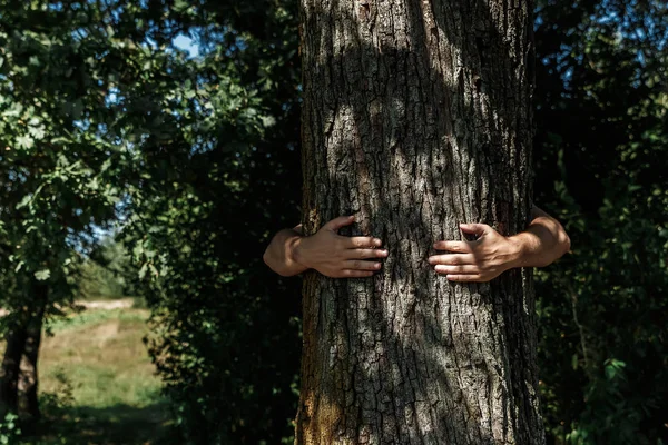 Las Manos Humanas Abrazan Envuelven Árbol Contacta Con Hombre Naturaleza — Foto de Stock