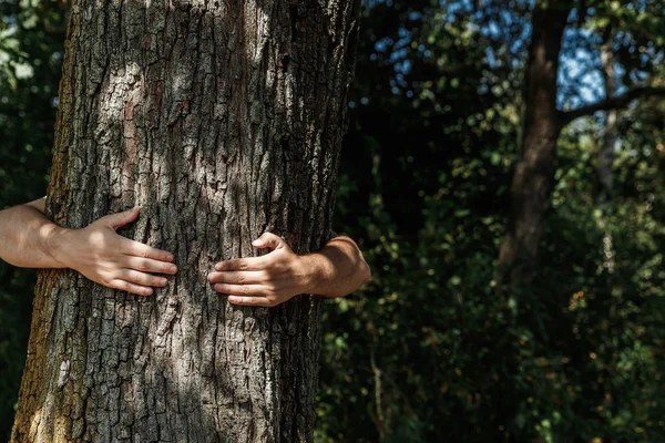 Human hands hug, wrap a tree. Contact man and nature, the concept of ecology. Productivity. Symbiosis