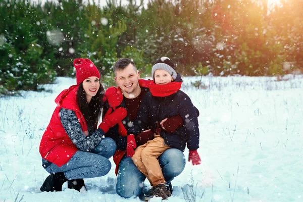 Happy Family Warm Clothes Winter Outdoors Concept Holidays Holidays Winter Stock Image