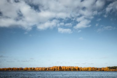Yaratıcı arka plan, Doğa, sonbahar nehir orman. Altın Sonbahar.