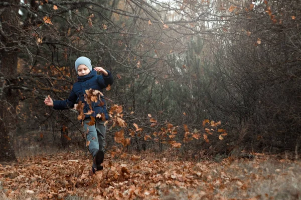 Uma Pilha Outono Folhagem Amarela Uma Criança Menino Brincando Com — Fotografia de Stock