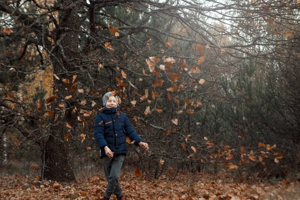 一堆秋天 黄色的树叶 一个孩子 一个男孩在公园里玩树叶 把树叶扔了起来 概念秋天 秋天的心情 复制空间 — 图库照片