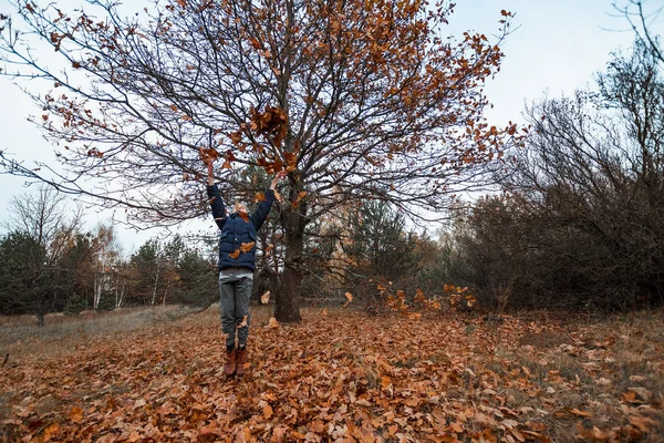 一堆秋天 黄色的树叶 一个孩子 一个男孩在公园里玩树叶 把树叶扔了起来 概念秋天 秋天的心情 复制空间 — 图库照片