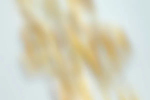 Weißer Verschwommener Abstrakter Hintergrund Kreativer Untergrund Für Karten Flyer Gestaltungselemente — Stockfoto