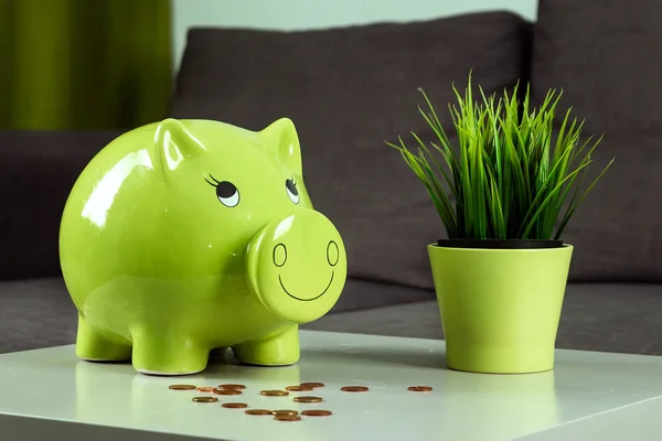 Creative background, green pig money box on gray background. The concept of saving money, savings, pig piggy, family budget, copy space.