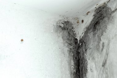 Plastik pencerelerin köşesindeki küf..