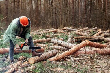 Tomruk, Elektrikli testere testere ile koruyucu bir takım elbise İşçi ahşap testere. Ağaçları kesmek, orman yok etmek. Ağaçların endüstriyel olarak tahrip edilmesi, çevreye zarar verme kavramı.