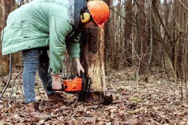 Tomruk, Elektrikli testere testere ile koruyucu bir takım elbise İşçi ahşap testere. Ağaçları kesmek, orman yok etmek. Ağaçların endüstriyel olarak tahrip edilmesi, çevreye zarar verme kavramı.