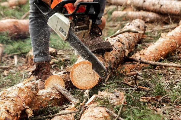 Professionelle Kettensäge aus nächster Nähe, Holzeinschlag. Bäume fällen, Wald zerstören. das Konzept der industriellen Zerstörung von Bäumen, die der Umwelt schaden. — Stockfoto