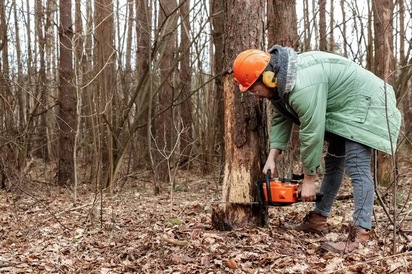 伐採、チェーンソーソーの木材を持つ保護スーツを着た労働者。木を切り倒す 森林破壊木の産業破壊の概念は、環境に害を引き起こす. — ストック写真