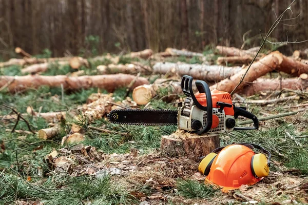 Professionelle Kettensäge aus nächster Nähe, Holzeinschlag. Bäume fällen, Wald zerstören. das Konzept der industriellen Zerstörung von Bäumen, die der Umwelt schaden. — Stockfoto