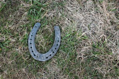 Eski tahta tahtada eski at nalı. Şans, şans, şans kavramı.