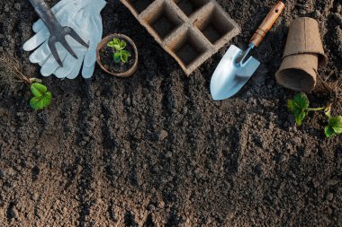 Fideler için tencere ve yere küçük bir spatula. Bahçe kavramı, sezon başında, yazlık yazlık.