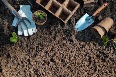 Fideler için tencere ve yere küçük bir spatula. Bahçe kavramı, sezon başında, yazlık yazlık.
