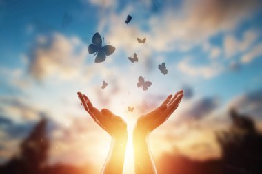 Eller güzel bir gün batımı, kelebekler sineksürüsü, doğanın tadını arka planda kapatın. Umut, inanç, din, umut ve özgürlüğün sembolü kavramı.