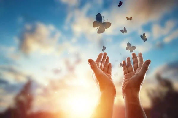 Händer nära upp på bakgrunden av en vacker solnedgång, en flock fjärilar flyger, njuter av naturen. Begreppet hopp, tro, religion, en symbol för hopp och frihet. — Stockfoto