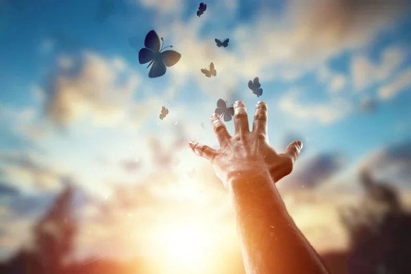 Hände aus nächster Nähe vor dem Hintergrund eines wunderschönen Sonnenuntergangs, eine Schar von Schmetterlingen fliegt und genießt die Natur. das Konzept der Hoffnung, des Glaubens, der Religion, ein Symbol der Hoffnung und der Freiheit. — Stockfoto