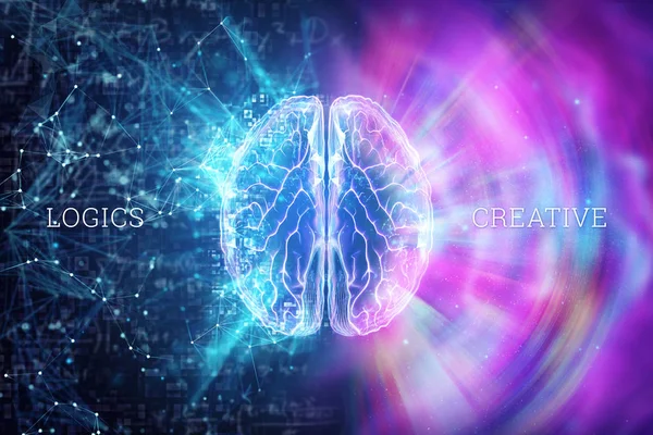 El cerebro humano sobre un fondo azul, la inscripción es creativa y lógica, el hemisferio es responsable de la lógica, y es responsable de la creatividad. Ilustración 3D, renderizado 3D — Foto de Stock