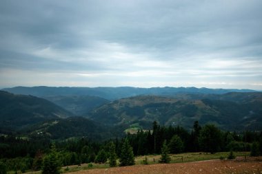 Dağ, güzel manzara. Ukrayna, Karpat Dağları. Seyahat, turizm, tatil, tatil kavramı