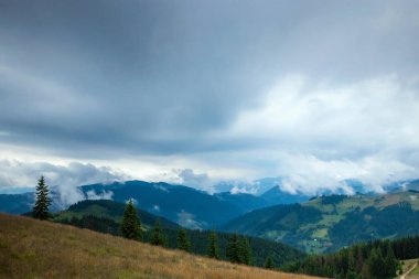 Dağ, güzel manzara. Ukrayna, Karpat Dağları. Seyahat, turizm, tatil, tatil kavramı