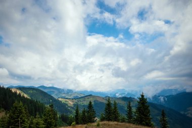 Dağ, güzel manzara. Ukrayna, Karpat Dağları. Seyahat, turizm, tatil, tatil kavramı