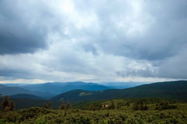 Dağ, güzel manzara. Ukrayna, Karpat Dağları. Seyahat, turizm, tatil, tatil kavramı