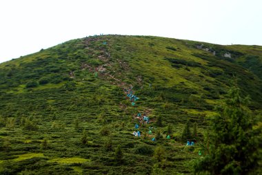 Dağlık, güzel manzara, turistlerin bir zincir yokuş yukarı yükselir. Ukrayna, Karpat Dağları. Seyahat kavramı, turizm, tatil, tatil, aktif rekreasyon